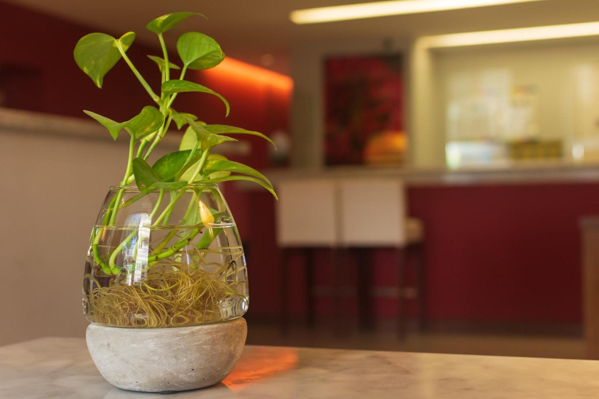 1412 Hotel Boutique روزاريو المظهر الخارجي الصورة